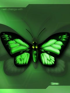 Other Wallpapers 0798